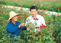 休闲农业 · 海南省三亚市亚龙湾国际玫瑰谷：既是精品农庄，也是获总书记赞赏的玫瑰天堂