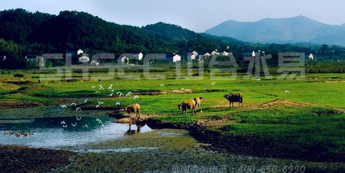 乡村旅游需要解决农业土地利用问题