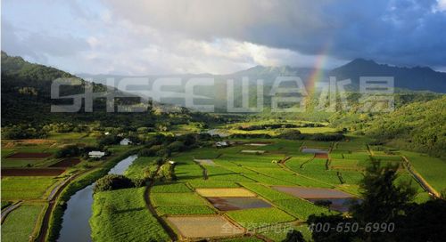 现行旅游业法律规范中，对于农村土地开发旅游有颇多限制