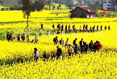 乡村旅游市场火爆，农村土地问题成为发展乡村旅游的关键