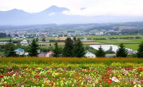 乡村旅游规划