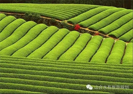 当休闲农庄不能依靠景区，我们靠啥?