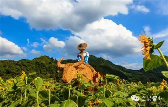 乡村旅游规划的思路