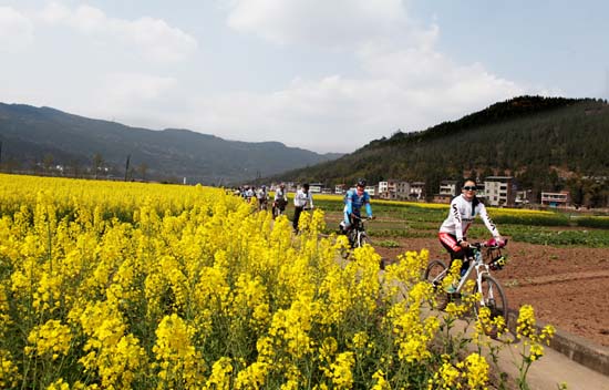 乡村旅游规划