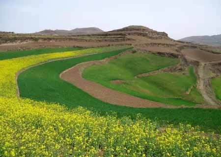 休闲农业与乡村旅游怎样选址